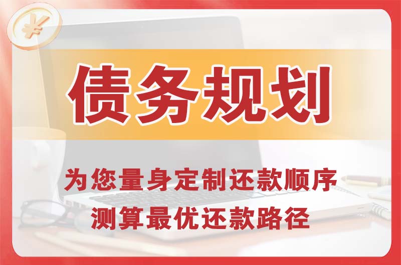 正定债务规划